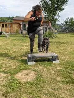 PftenTeam® Fitness für Mensch-Hund-Teams