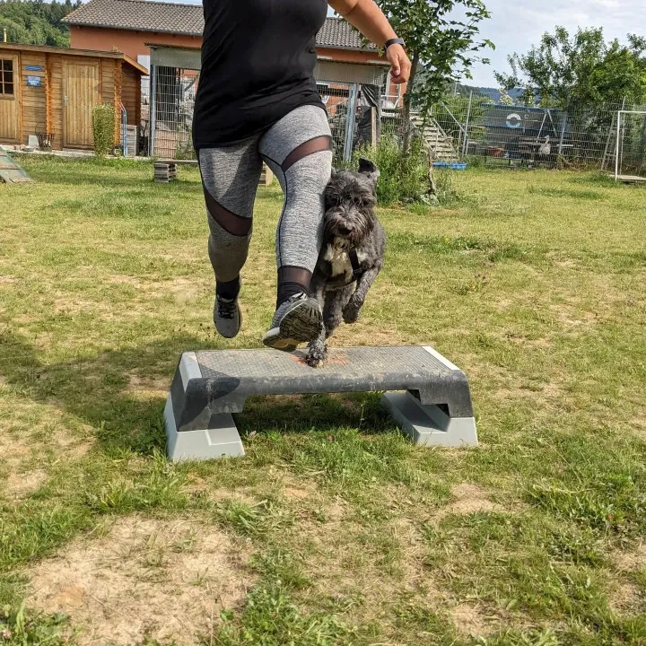 PftenTeam® Fitness für Mensch-Hund-Teams