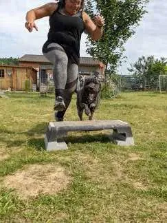 PftenTeam® Fitness für Mensch-Hund-Teams