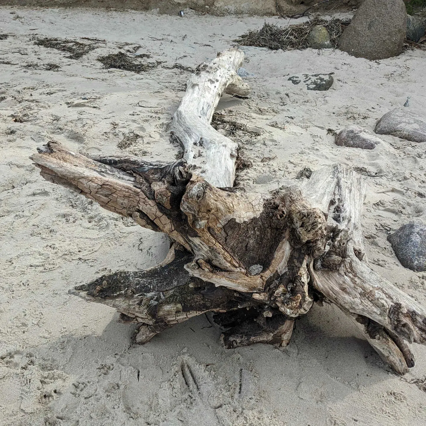 PftenTeam®-Holz am weißen Sandstrand